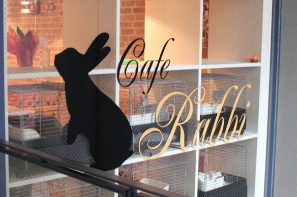 Rabbit cafe